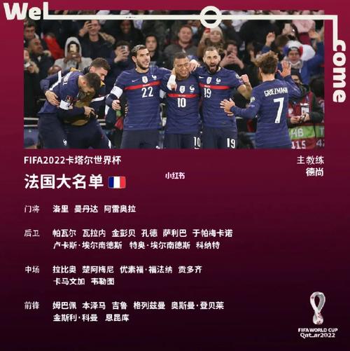 法国足球队世界杯成绩